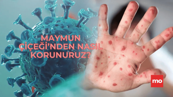 Maymun çiçeği (2)