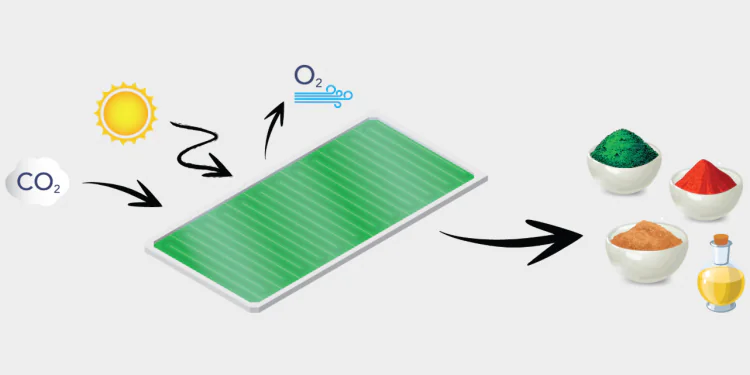 Hava Kirliliğine Son Veren “BioSolar Leaves” Teknolojisi