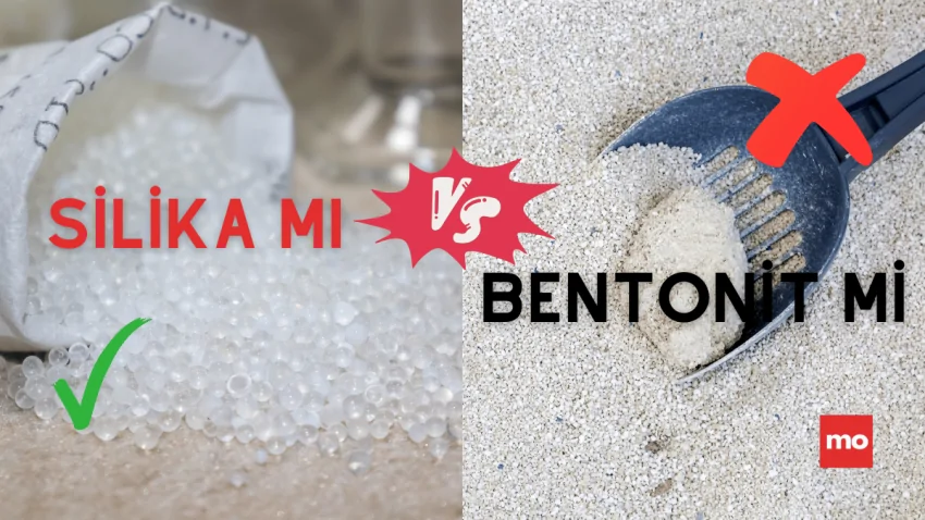 Bentonit İçerikli Kedi Kumu mu, Silika Jel Kedi Kumu mu? Hangisi Daha Etkili ve Sağlıklı