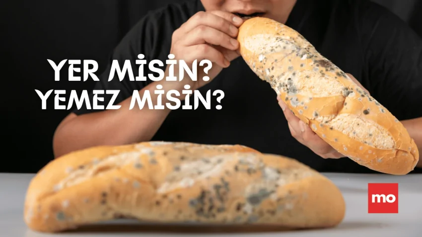 Bir Yiyeceğin Küflendiğini Görünce: Tüketelim mi, Yoksa Atalım mı?