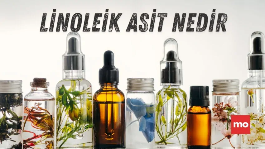 Yemeklik Yağlar Kanserle Nasıl İlişkili? Linoleik Asit ve Hücresel Düzeydeki Mekanizma