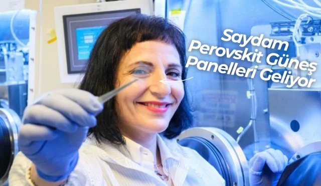Güneş paneli saydam
