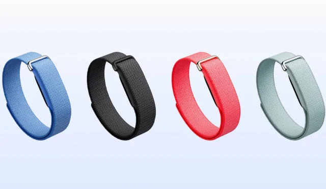 google fitbit